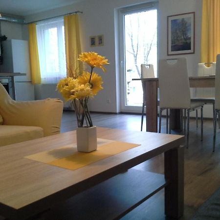 Rodinny Apartman Lucie V Blizkosti Wellness Hotelu Ve Frymburku Экстерьер фото