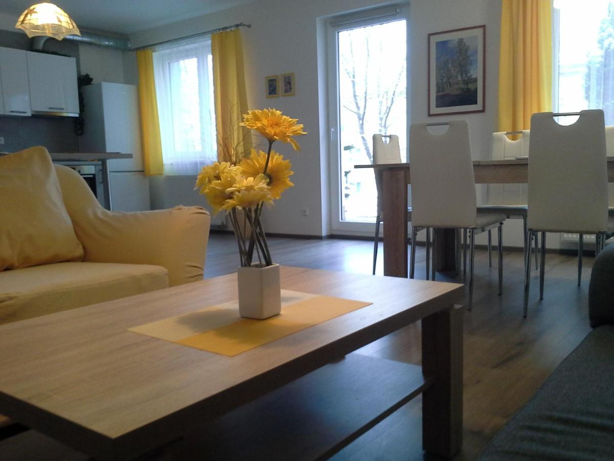 Rodinny Apartman Lucie V Blizkosti Wellness Hotelu Ve Frymburku Экстерьер фото