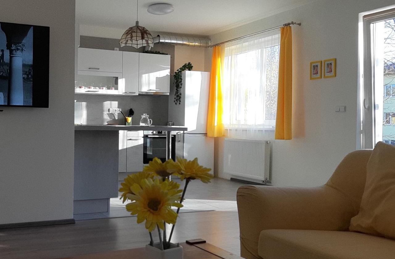 Rodinny Apartman Lucie V Blizkosti Wellness Hotelu Ve Frymburku Экстерьер фото